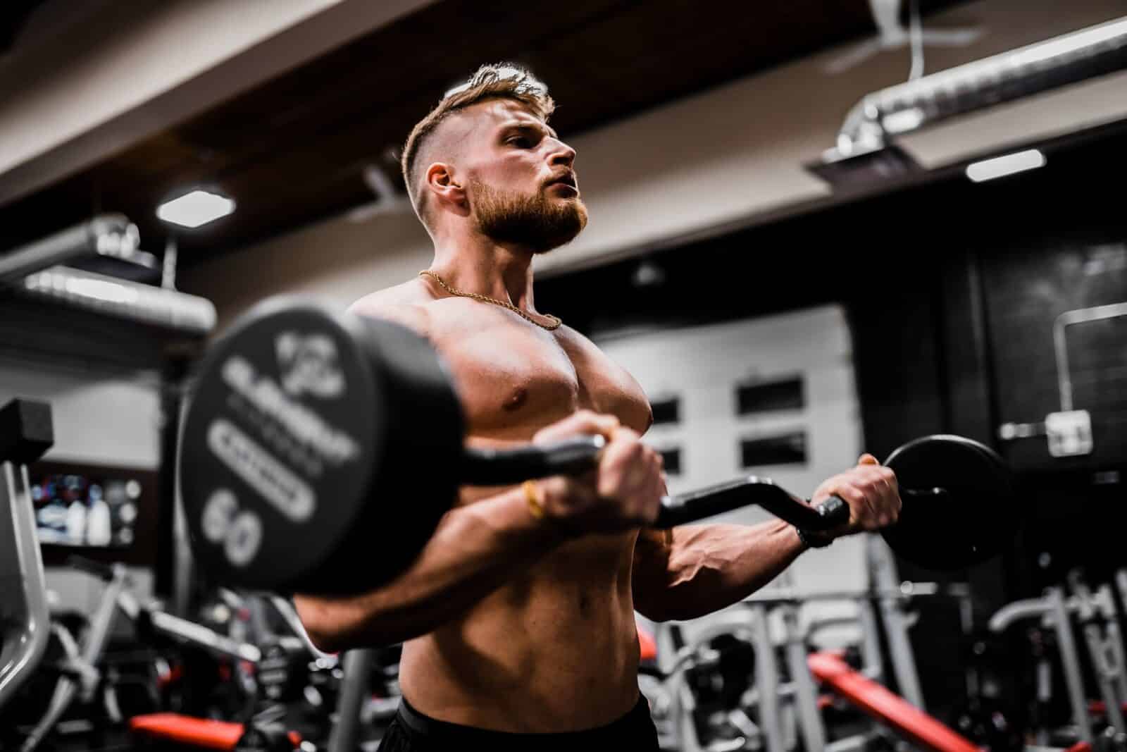 Proteins and supplements for muscle mass