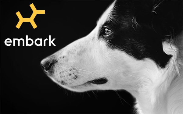 Dog Genetic Testing