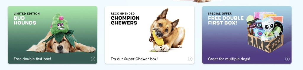 8 Tips to Please Your Beloved Canine Companion