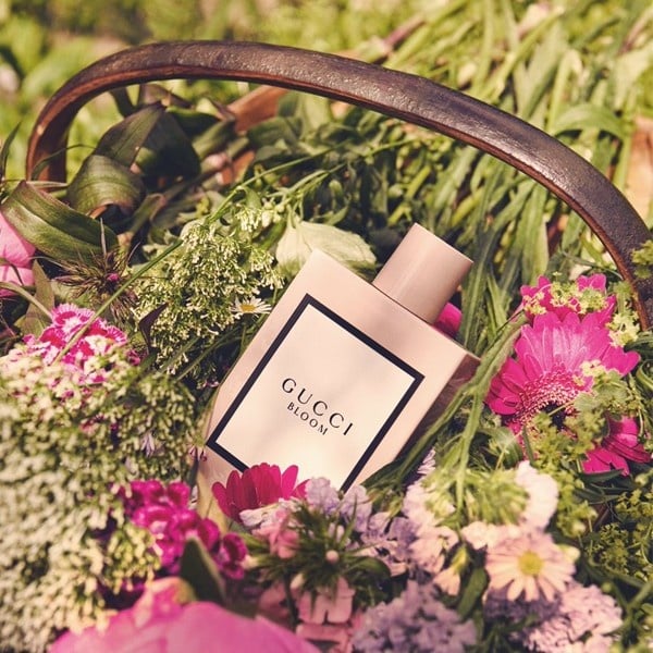 The Most Popular Perfumes: A Journey into Scented Elegance