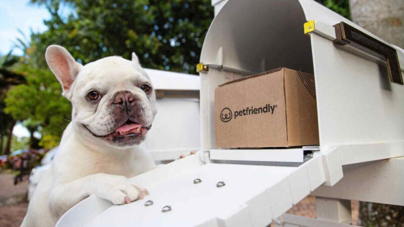 Essential Guide to Pet Care: Keeping Your Dogs and Cats Happy and Healthy (Pet Friendly Box)