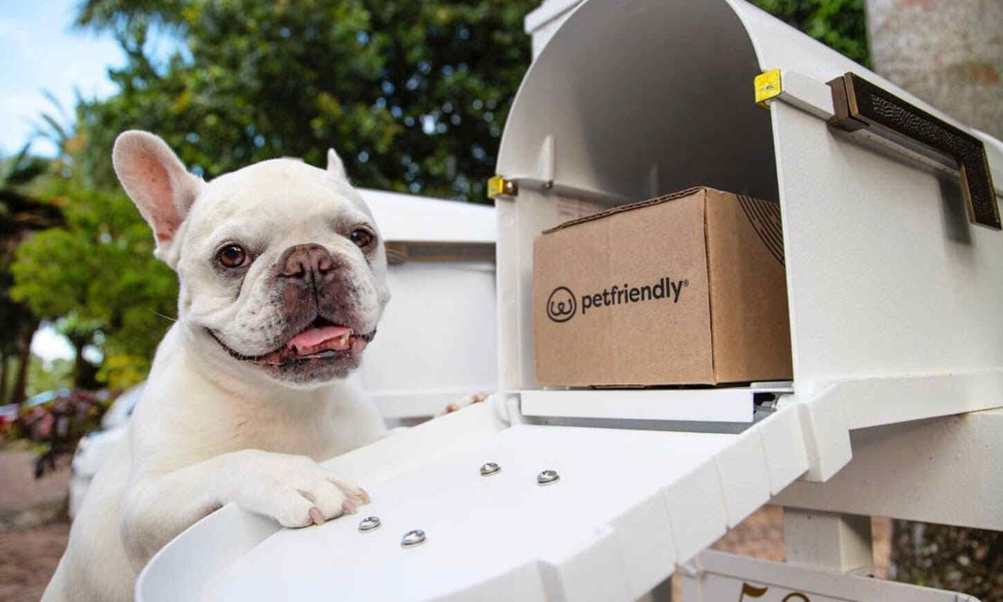 Essential Guide to Pet Care: Keeping Your Dogs and Cats Happy and Healthy (Pet Friendly Box)