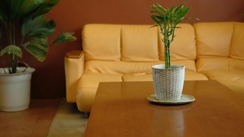 Transform Your Home with Cozy Minimalism: Simple Decor Ideas That Actually Work