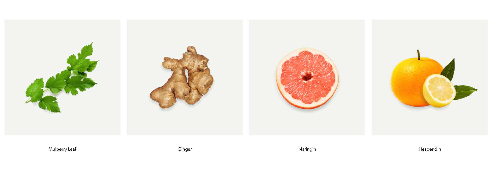 Discover Vyne Herb: Your Gateway to Premium Herbal Wellness