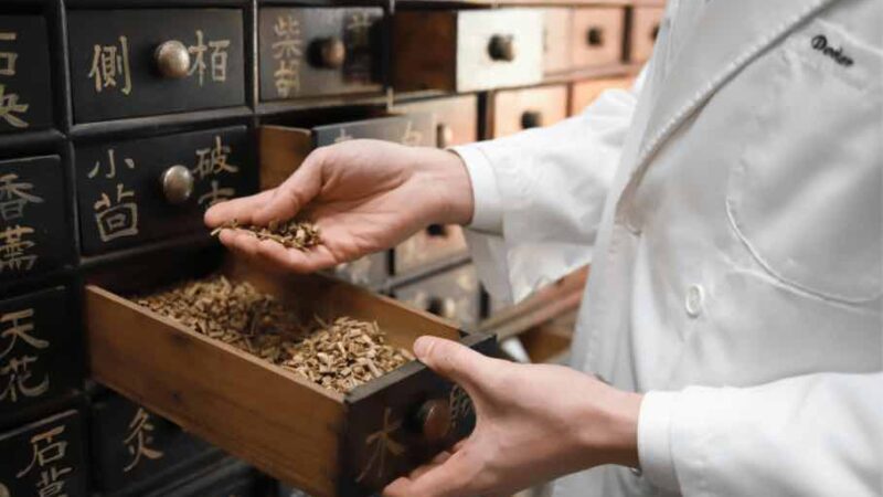 Discover Vyne Herb: Your Gateway to Premium Herbal Wellness