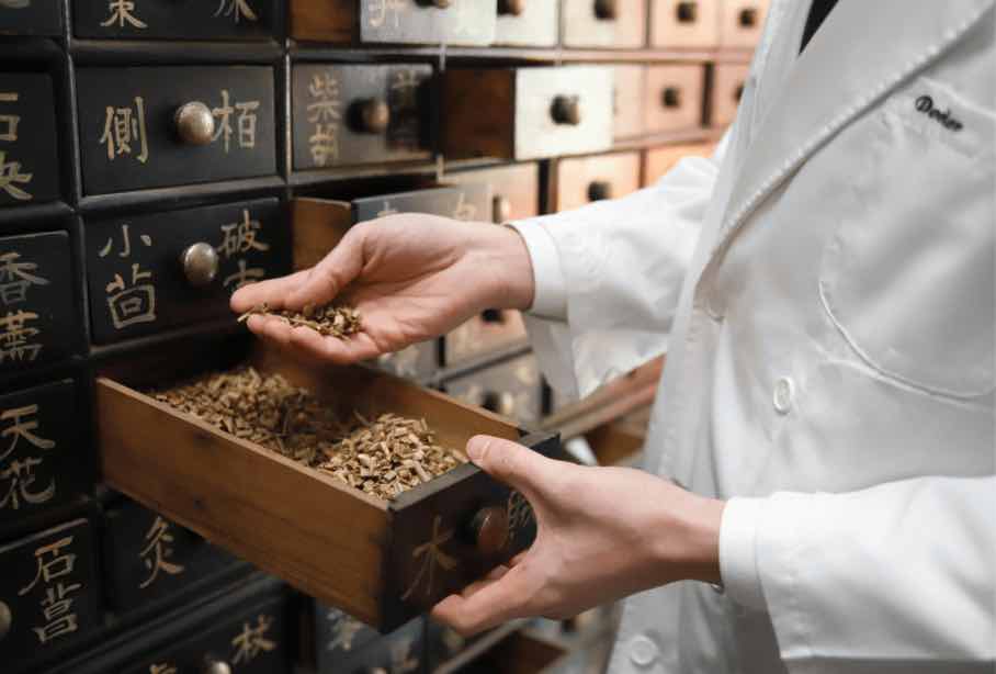 Discover Vyne Herb: Your Gateway to Premium Herbal Wellness
